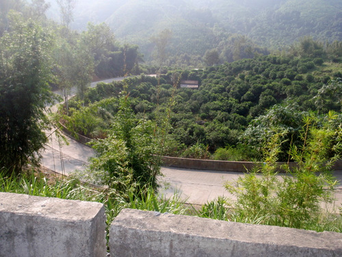 Little hill climb.